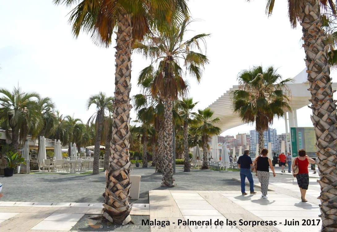 112- Malaga Palmeral Sorpresas.JPG
